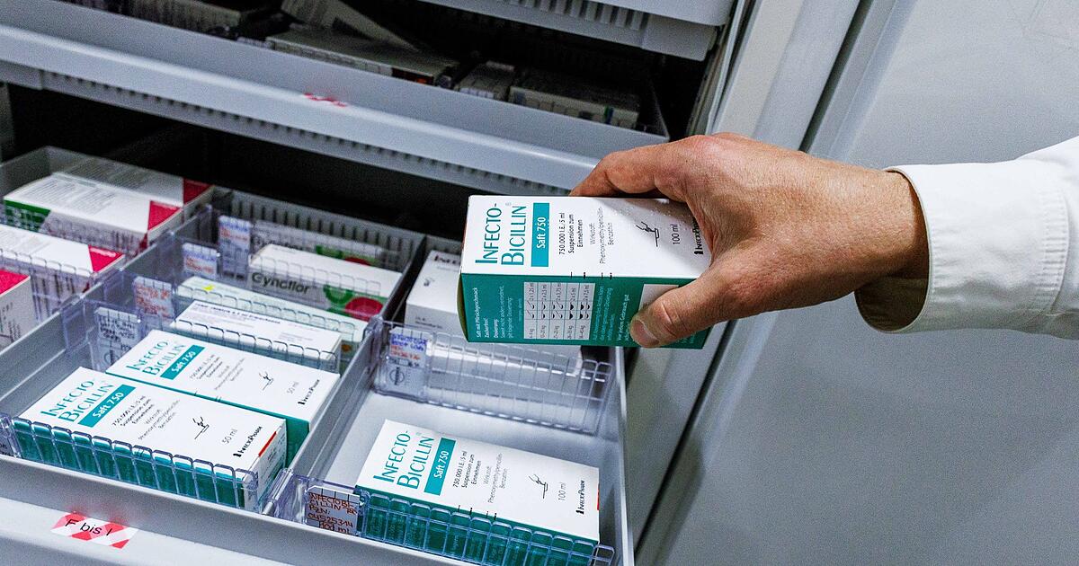 Zig-Millionen-gerettet-Schimmelpilz-ist-Mikrobe-des-Jahres