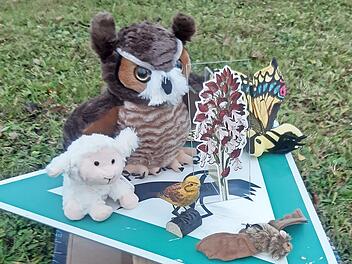 Schutzg&uuml;ter im Naturschutzgebiet zum Anfassen