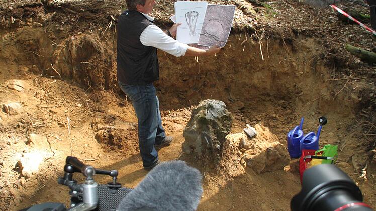 Das Medieninteresse an der Entdeckung war groß. Zahlreiche Journalisten wurden zur Fundstelle im Wald geführt, um dort Foto- und Filmaufnahmen zu machen.