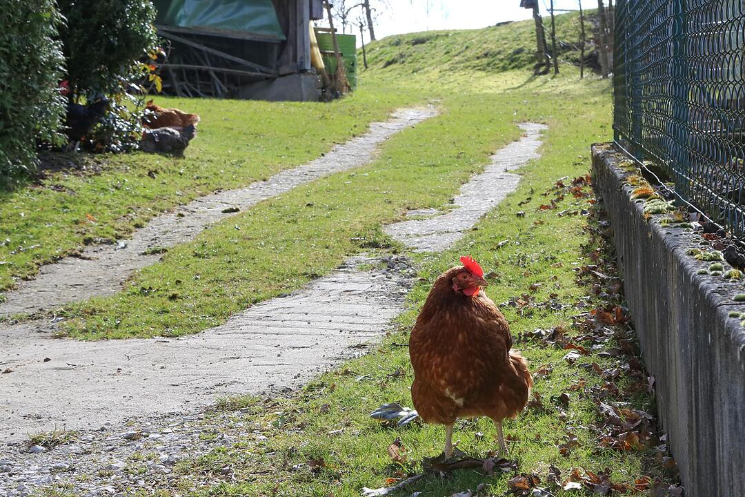 SoS ?sdorf im Lkr. Forchheim