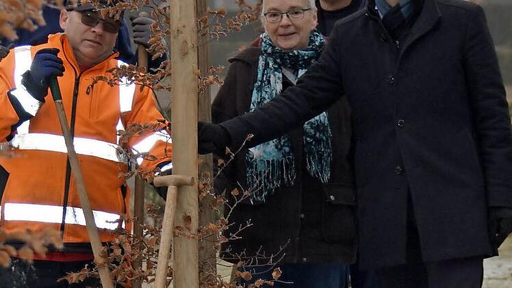 Karola Ebert (Friedhofsverwaltung), Bürgermeister Tobias Ehrlicher und Mitarbeiter aus dem Bauhof neben einer der gepflanzten Blutbuchen  Foto: Michaela Brehm