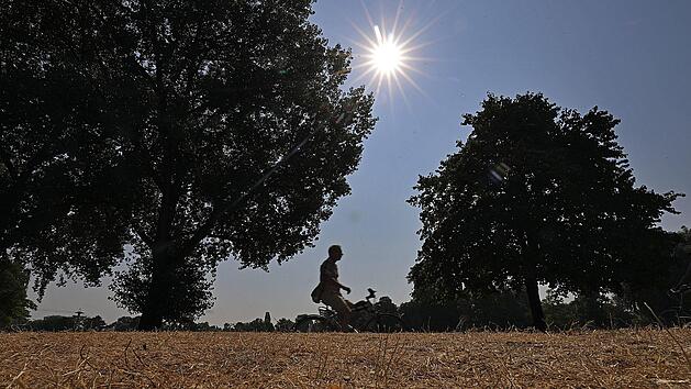 Wie lange dauert die Hitzewelle noch an? Diplom-Meteorologe Dominik Jung im Interview mit inFranken.de Foto: Oliver Berg, dpa