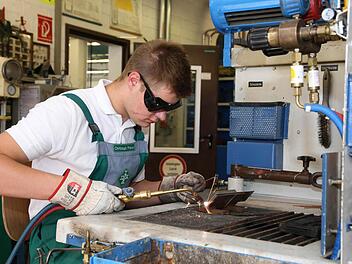 Viele Ausbildungsberufe wurden beim Infotag bei Schaeffler in Herzogenaurach vorgestellt. Foto: Andreas Brandl