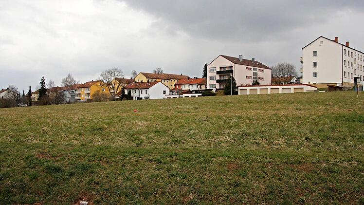Diese Fläche zwischen Sudeten- und Max-Reger-Straße klafft seit Jahren als Lücke im Baugebiet "Steinberg-Ost." Nach Beschluss des Stadtrates können dort künftig Reihenhäuser entstehen.  Foto: Helmut Will