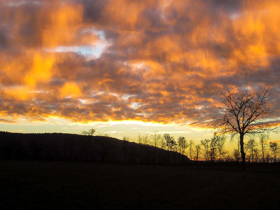 Fotos Konrad Thomann