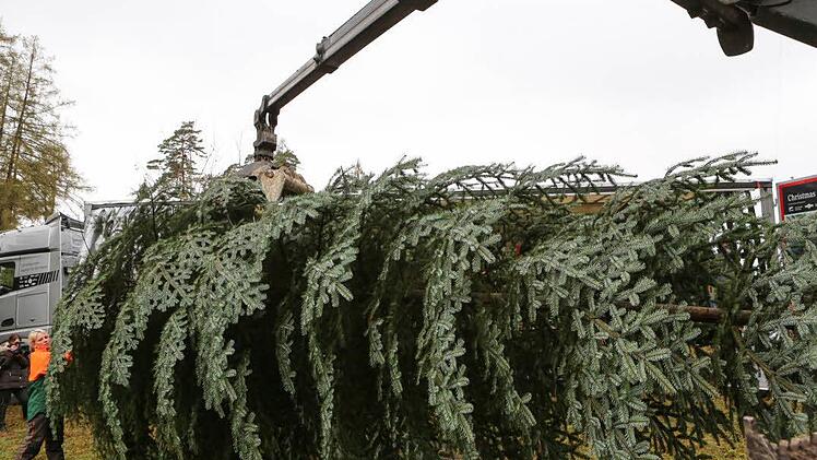 Der Baum wird in den Lkw verladen. Foto: Barbara Herbst