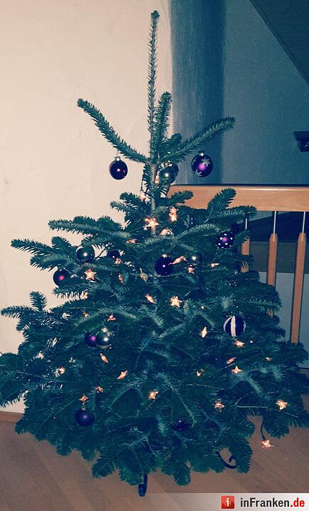 Weihnachten in Franken: Die Christbäume unserer Leser