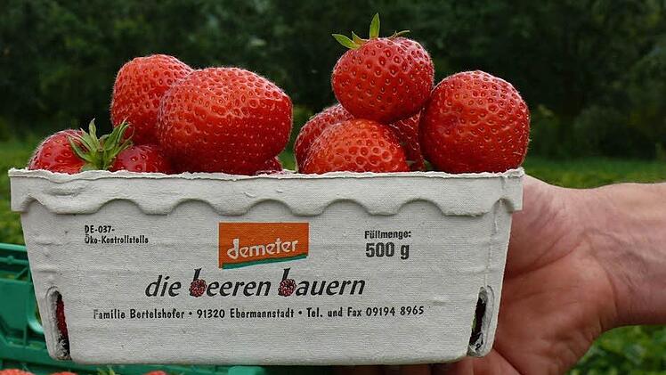 Landwirtschaft: Bio gegen  Konventionell: Wir haben  einen unglaublichen Preisdruck und Preiswettbewerb, der viele Bauern zum Aufgeben zwingt. Also Milchbauern zum Beispiel, die Milch zu einem Preis abgeben müssen, der nicht mehr den Hof erhält.  Die einzige Zukunft  gerade für die  kleinteilige Landwirtschaft in Bayern ist, auf Qualität zu setzen. Dass man einfach weiß, wo  die Produkte herkommen und was drin ist, und dass  auch die Wertschöpfung in der Region bleibt. Dann  hat auch der länd...
