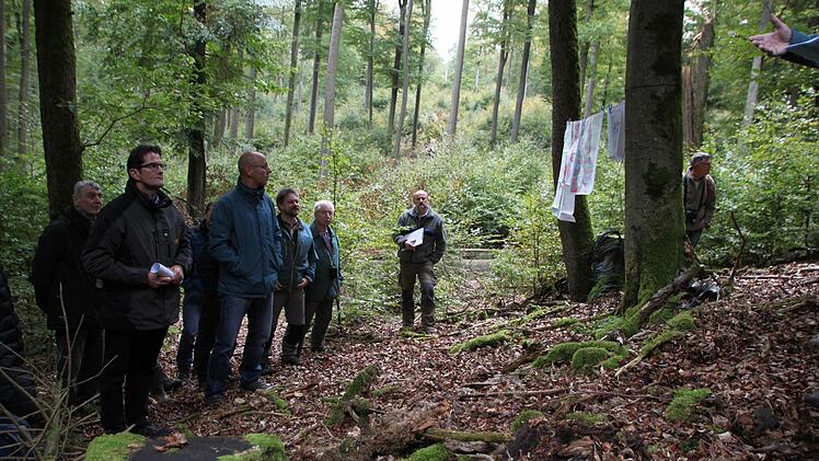 Der Forstbetrieb Bad Brückenau stellt sein Naturschutzkonzept vor. Foto: Ulrike Müller