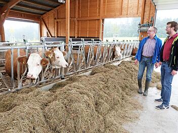 Auch in den Stall der Familie Sack in Maierhof kann man einen Blick werfen. Foto: Werner Reißaus