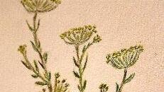 In Ludwigschorgast schuf Barwisch ein wundersch&ouml;nes Kr&auml;uterbild f&uuml;r ihre K&uuml;che.