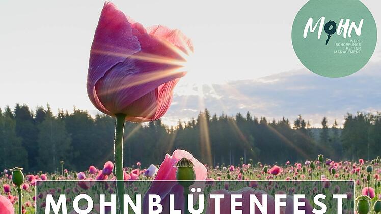 Zellingen lädt zu erstem unterfränkischen Mohnblütenfest ein