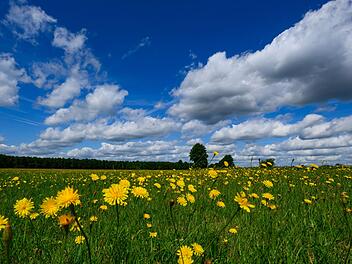 Wetter in Brandenburg