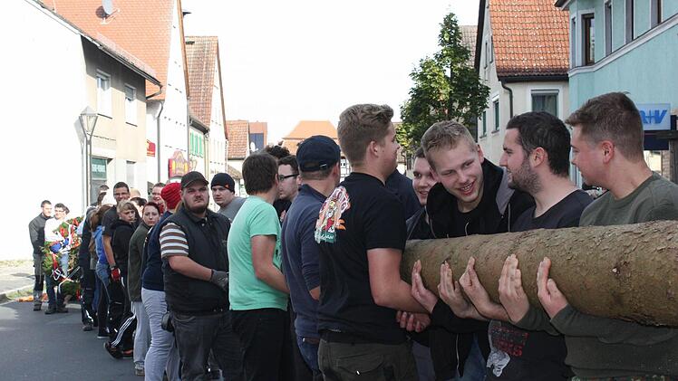 Die jungen Leute mussten sich zwei Stunden lang anstrengen, bis der Kerwasbaum sicher in der Senkrechten stand. Fotos: Sonja Werner