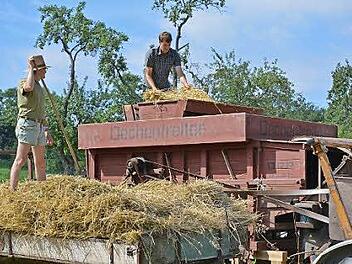 Dreschen wie früher - auch das ist Bestandteil beim Museumsfest im Frelandmuseum Fladungen.  Foto: Jens Englert
