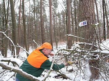 Gerhard Beck hat ein Holzlos in der Waldabteilung "Windsburg". Bevor er mit der Motorsäge kommt, arbeitet er sich mit dem Beil durch das gefällte Holz, damit der Wanderweg schnell wieder frei wird. Fotos: Heike Beudert