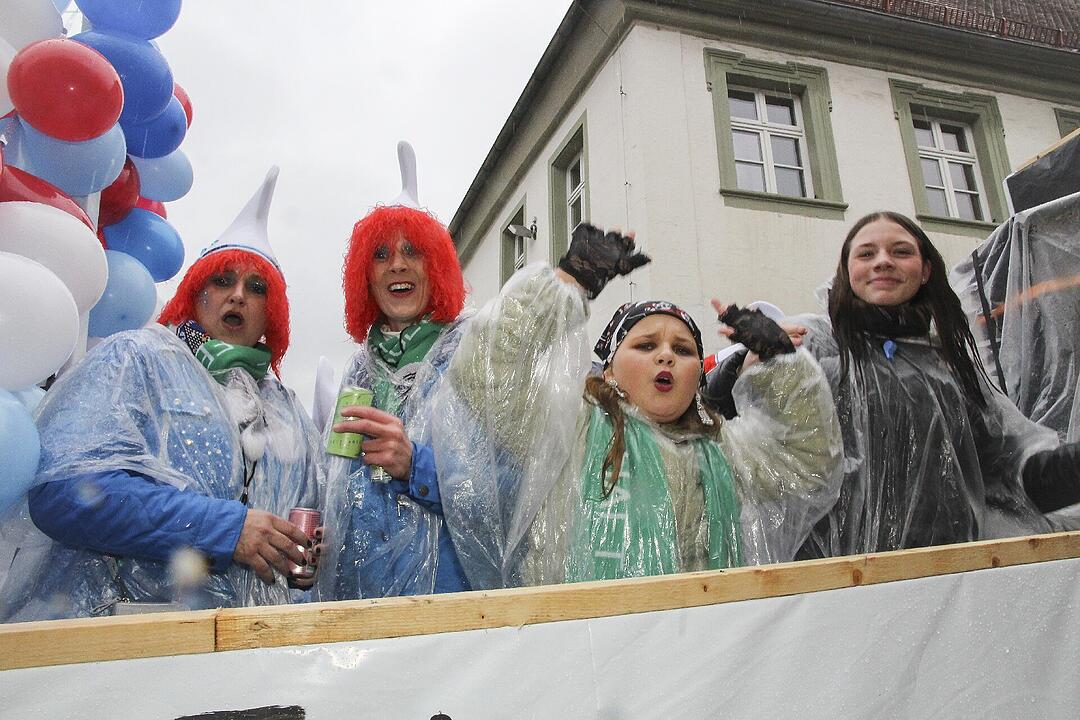 Stadtsteinacher Narrentreiben 2024