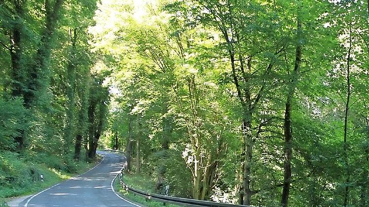 Die kurvenreiche Ramstertalstraße