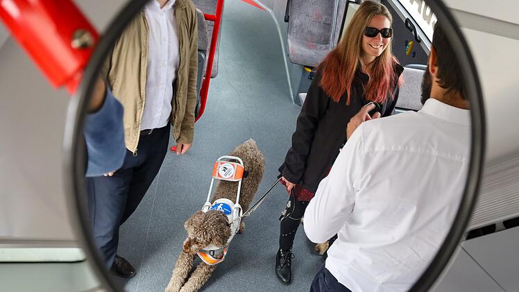 Spürbare Änderung in Bamberger Stadtbussen