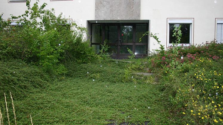 Nach dem Auszug der Militärs sah es nach wenigen Wochen so aus. Bodendecker wucherten die Gebäude zu, ehe...