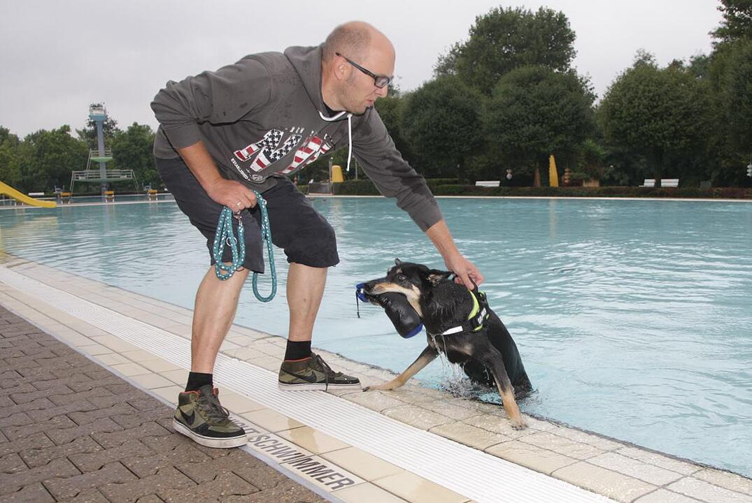 Hundeschwimmen im Kitzinger Freibad