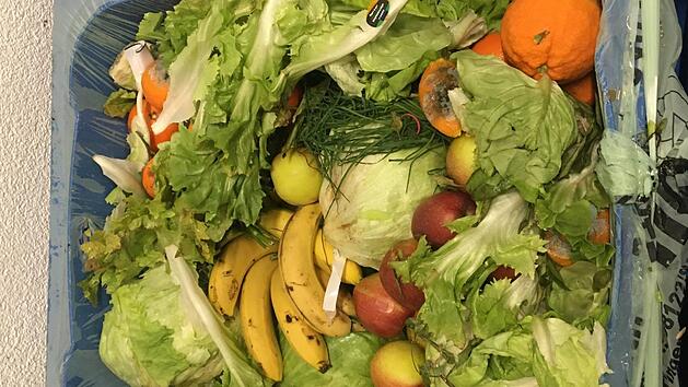 So sehen viele M&uuml;lltonnen hinter Superm&auml;rkten in N&uuml;rnberg aus. Viele Menschen finden das nicht in Ordnung - und gehen deshalb containern. Foto: Alex Cio