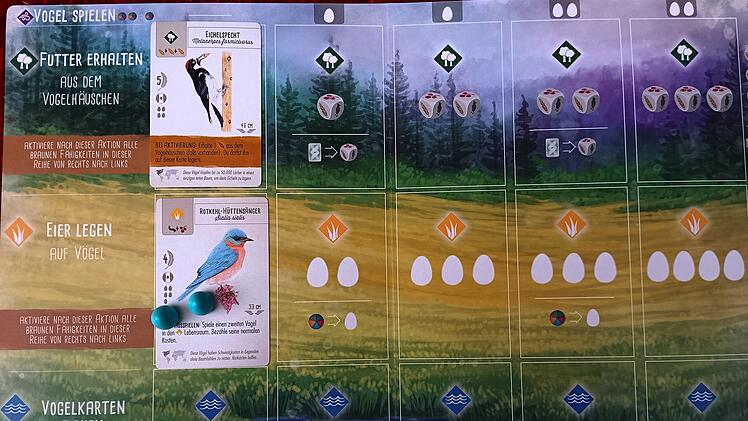 Spiele-Test "Flügelschlag": So genial ist das Kennerspiel des Jahres 2019