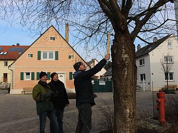 Der Baum bekommt eine Nummer und kann via GPS jederzeit zugeordnet werden. Evi Seeger