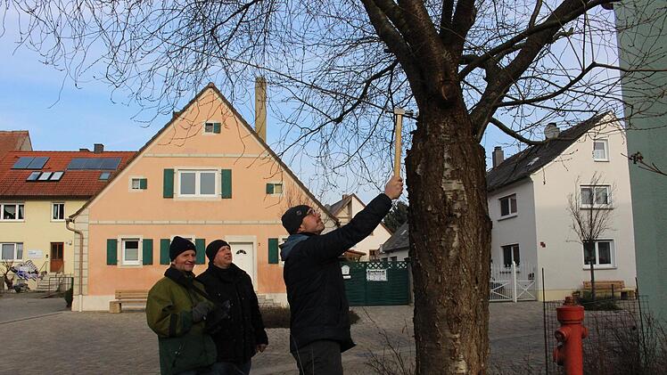 Der Baum bekommt eine Nummer und kann via GPS jederzeit zugeordnet werden. Evi Seeger