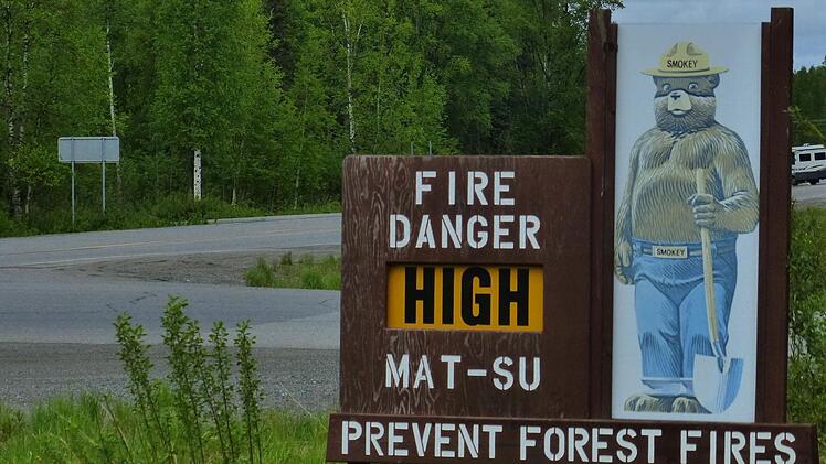 Immer wieder kommt es zu riesigen Waldbr&auml;nden in Alaska. Foto: Manfred Wagner