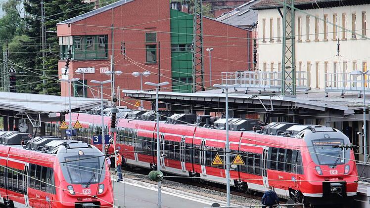 Am Bahnhof Forchheim eskalierte die Situation: Vier kräftige Männer von der Bundes- und Landespolizei wurden gebraucht, um die Frau unter Kontrolle zu bringen. Foto: Josef Hofbauer/Archiv