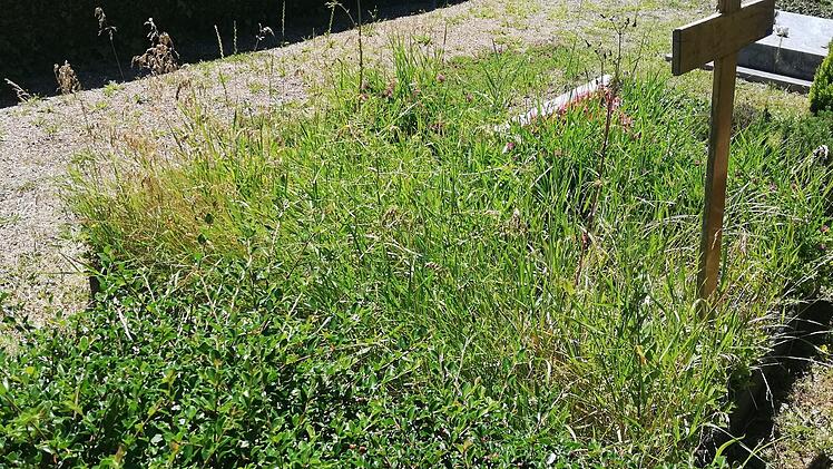 Manche verwilderte Grabstelle schadet dem Erscheinungsbild des Friedhofs.