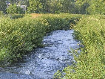 Lehrberg: Gew&auml;sser verunreinigt: Feuerwehren errichten &Ouml;lsperre - auch Kanalisation betroffen