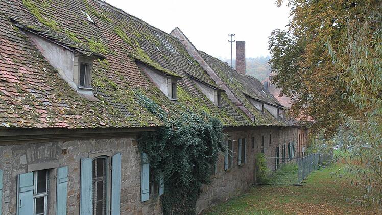 Marode: Diese Dächer des Nordflügels würden wohl nicht einmal mehr einen Dachdecker tragen.