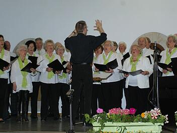 Nikolaus Metz ist neuer Chorleiter der MGV Chorgemeinschaft Hammelburg, die er seit Jahresbeginn musikalisch führt. Fotos: Winfried Ehling