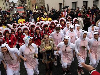 Impressionen vom Faschingsumzug der Weisendorfer Blummazupfer. Foto: Richard Sänger