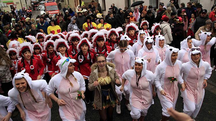 Impressionen vom Faschingsumzug der Weisendorfer Blummazupfer. Foto: Richard Sänger