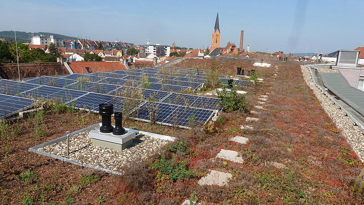 PV-Anlage am Ulanenpark in Bamberg.
