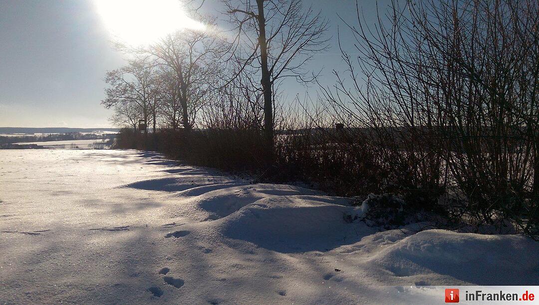 Eis und Schnee in Franken - die schönsten Winterleserfotos