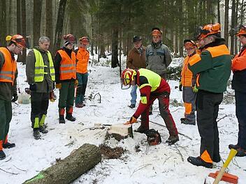 Forstwirtschaftsmeister Thomas Uwira (Mitte) vom Amt für Ernährung Landwirtschaft und Forsten überprüft die Schnittfläche und den Fallkerb des gefällten Baums, der die Fallrichtung bestimmt und ein Kippen in die gewünschte Richtung ermöglicht. Foto: K.-H. Hofmann
