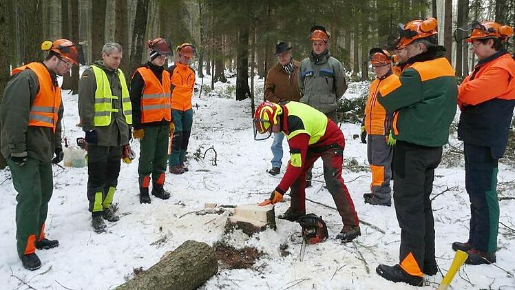 Forstwirtschaftsmeister Thomas Uwira (Mitte) vom Amt für Ernährung Landwirtschaft und Forsten überprüft die Schnittfläche und den Fallkerb des gefällten Baums, der die Fallrichtung bestimmt und ein Kippen in die gewünschte Richtung ermöglicht. Foto: K.-H. Hofmann