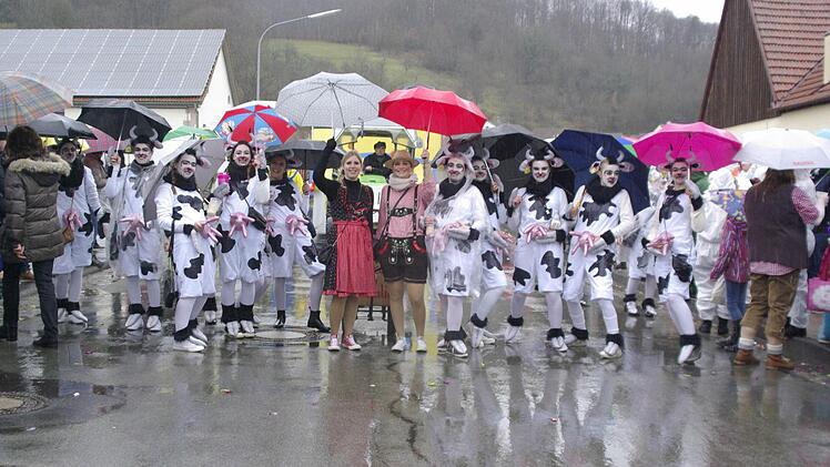Faschingszug Aura 2016. Foto: Winfried Ehling