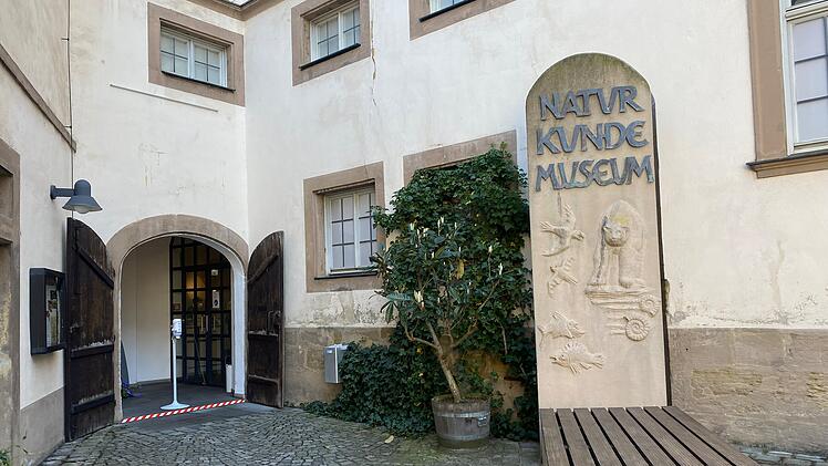 Das Bamberger Naturkunde-Museum befindet sich im Herzen der Altstadt.