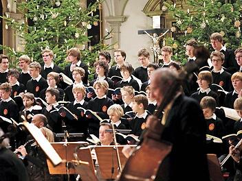 Die Augsburger Domsingknaben  Foto: PR