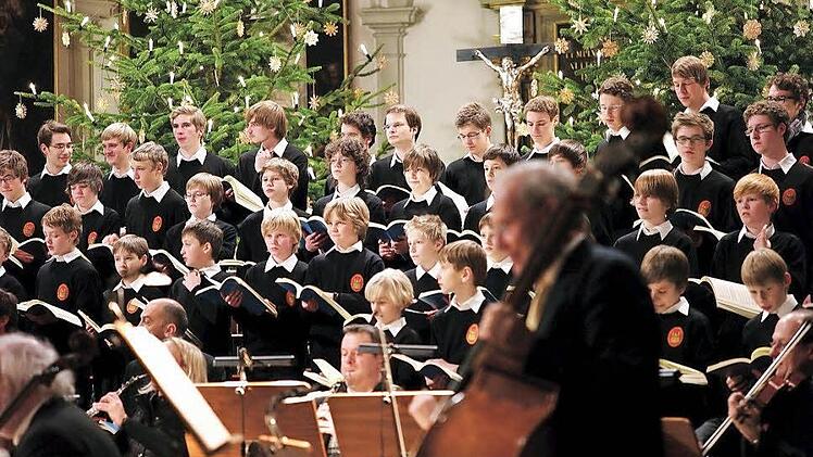 Die Augsburger Domsingknaben  Foto: PR