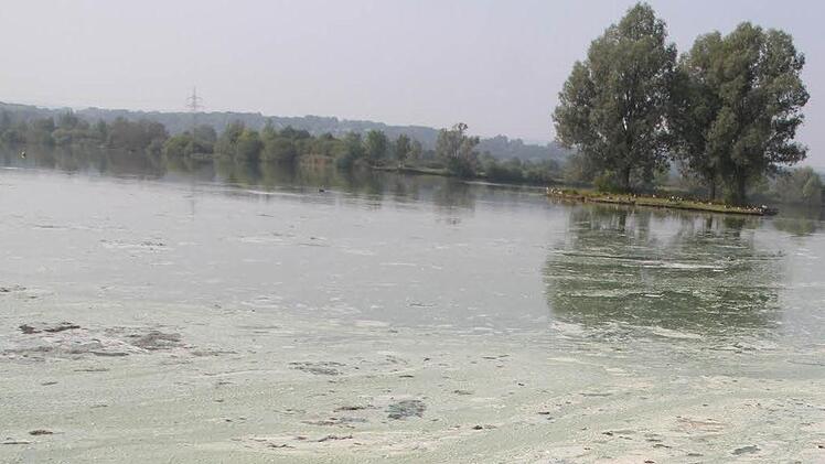 So sah die Kieswäsch im Sommer 2014 aus. Ein Algenteppich hatte den See eingenommen. Foto: Archiv/Sonja Adam