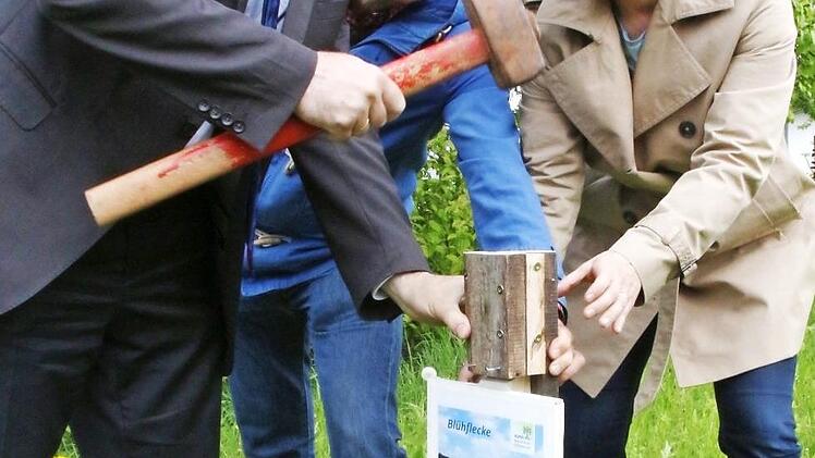 Ein Schild soll auf die besondere Bedeutung der Fläche hinweisen. Assistiert von Bürgermeisterin Christiane Meyer (rechts) und Axel Schauder rammt Landrat Ulm (links) das Schild in den Boden.  Foto: Josef Hofbauer