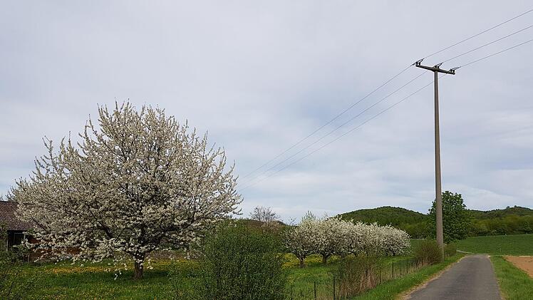 Immer dem grünen Kreuz nach geht es durch die Landschaft rund um Wohlmannsgesees.  Foto: Ronald Heck