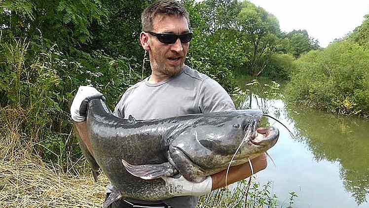 Tobias Tilgner hat einen riesigen Wels an Land gezogen.  Foto: privat