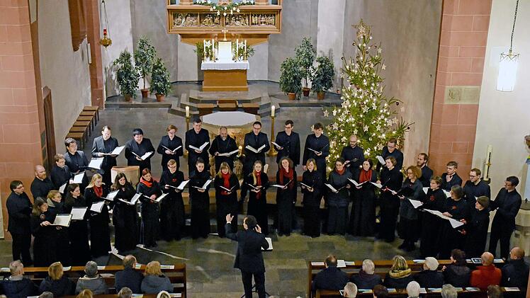 Das preisgekrönte Vokalensemble "Cantabile Regensburg" mit seinem Leiter Professor Matthias Beckert wurde für sein Konzert in der voll besetzten Stadtpfarrkirche in Haßfurt mit stehenden Ovationen gefeiert. Ulrike Langer